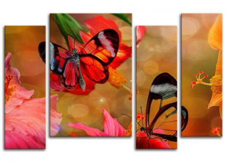 Картина Бабочки на цветах из раздела Бабочки