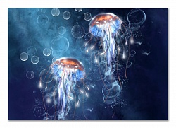 Загадочные медузы 