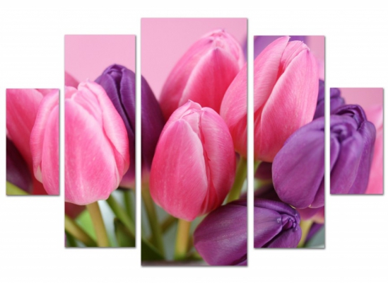 фото картины с цветами Нежность тюльпанов  