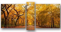 Осенний парк. Нью-Йорк 02М-140х70