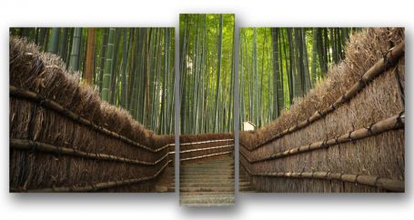 фото картины с природой Бамбуковый лес 01М-140х70