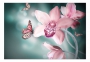 фото картины с цветами Аромат орхидеи  