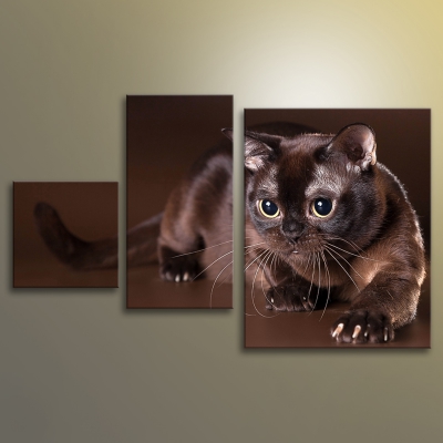 Картина Кошка из раздела Кошки