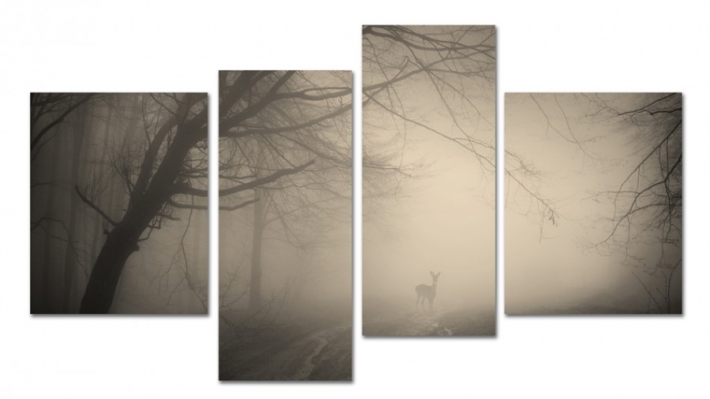 картинка В таинственном тумане 01М-140х80 от магазина модульных картин Приоритет
