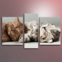 Картина Спящие котята из раздела Кошки