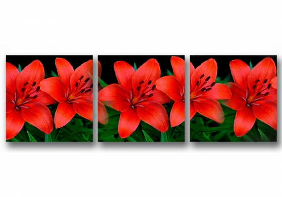 картинка Красные лилии 06-42М от магазина модульных картин Приоритет