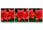 картинка Красные лилии 06-42М от магазина модульных картин Приоритет