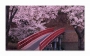 фото картины с природой Цветение сакуры