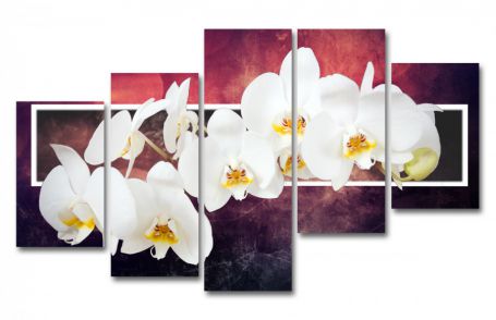 картинка Орхидея.Цветочное вдохновение от магазина модульных картин Приоритет