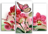 Бабочки и орхидея