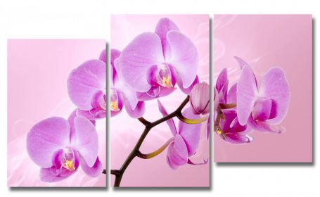 фото картины с цветами Сиреневая орхидея  