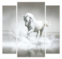 Белая лошадь 05-01М