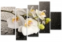 картинка Очарование орхидеи  от магазина модульных картин Приоритет