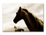 Картина Пара лошадей 05-54 из раздела Лошади
