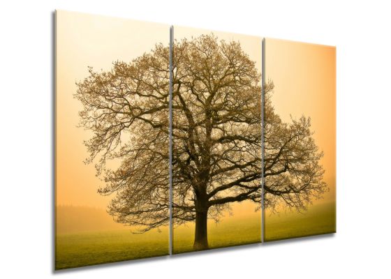 фото картины с природой Дерево на рассвете. Триптих
