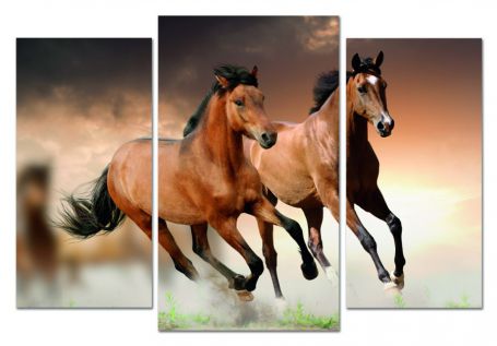 картинка Бегущие лошади 05-21М от магазина модульных картин Приоритет