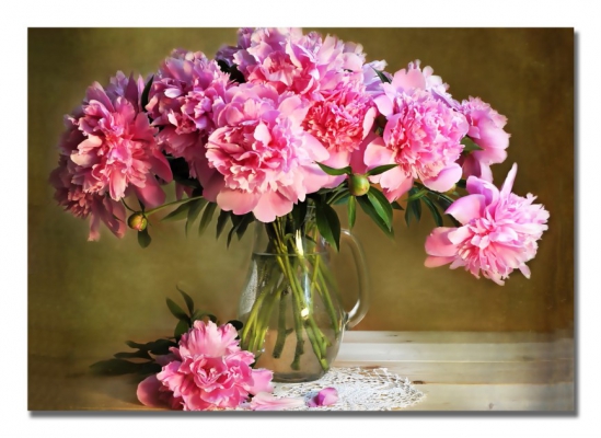 фото картины с цветами Махровые пионы 06-48 