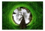 фото картины с природой Дерево 05-15