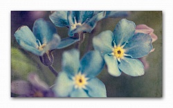 Голубые цветы 06-25