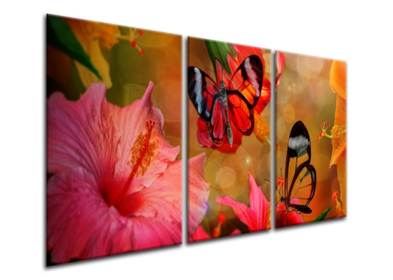 картинка Триптих. Бабочки на цветах от магазина модульных картин Приоритет
