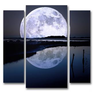 картинка Луна.Отражение 05-49М от магазина модульных картин Приоритет