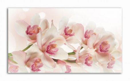 фото картины с цветами Цветы орхидеи  