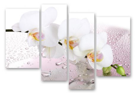 фото картины с цветами Нежность орхидеи 