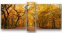 фото картины с природой Осенний парк. Нью-Йорк 02М-140х70