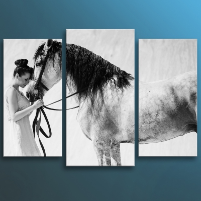 картинка Девушка и лошадь от магазина модульных картин Приоритет
