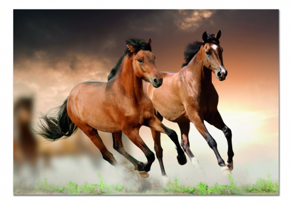 Картина Бегущие лошади 05-21 из раздела Лошади