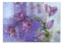 фото картины с цветами Тюльпаны за стеклом  