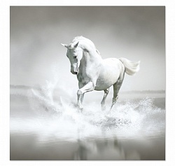 Белая лошадь 05-01