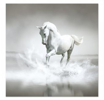 Картина Белая лошадь 05-01 из раздела Лошади