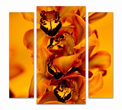 Триптих.Необычная орхидея  