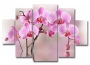 фото картины с цветами Великолепная орхидея  