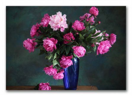 фото картины с цветами Роскошные пионы 06-57 