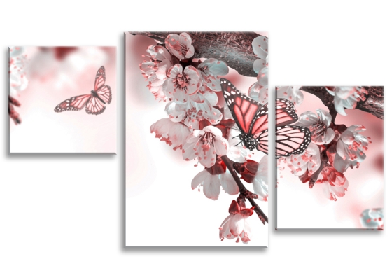 Картина Миндаль из раздела Бабочки