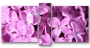 картинка Весенние цветы 07М-140х70 от магазина модульных картин Приоритет