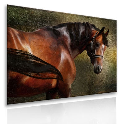 Картина Благородная лошадь из раздела Лошади