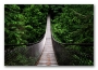 фото картины с природой Канада. Мост Капилано 05-53
