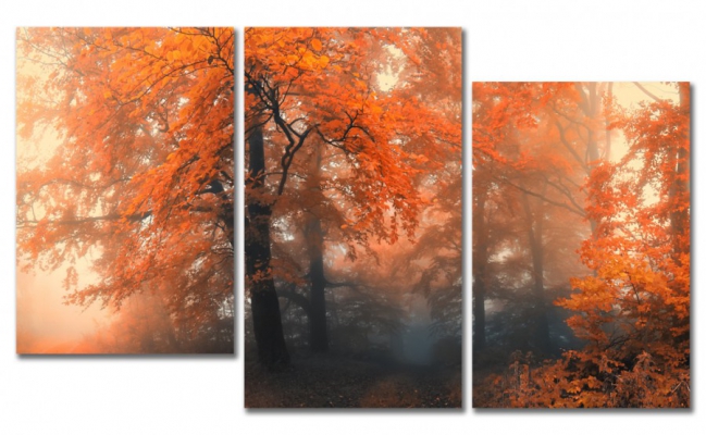 фото картины с природой Осень в лесу 01М-120х70