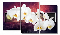 Орхидея.Вдохновение 