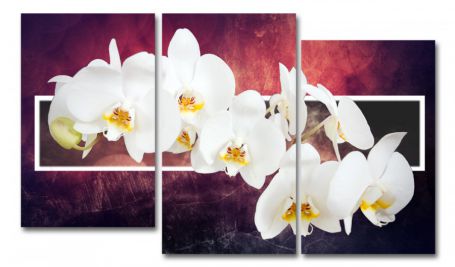 картинка Орхидея.Вдохновение  от магазина модульных картин Приоритет